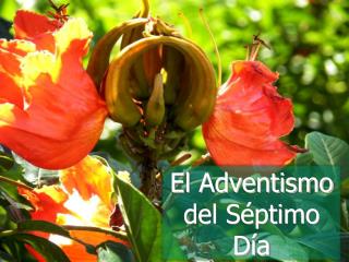 El Adventismo del Séptimo Día