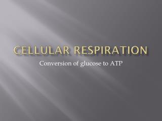 Cellular Respiration