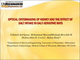 OPTICAL CRYOIMAGING OF KIDNEY AND THE EFFECT OF SALT INTAKE IN SALT-SENSITIVE RATS