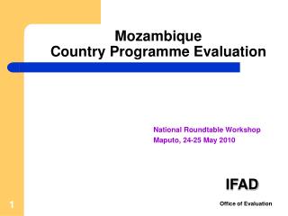 Mozambique Country Programme Evaluation