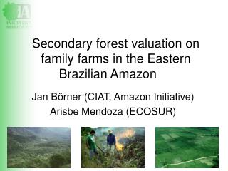 Secondary forest valuation on family farms in the Eastern Brazilian Amazon