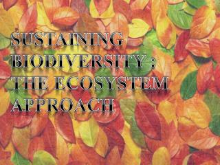 SUSTAINING BIODIVERSITY : THE ECOSYSTEM APPROACH