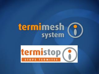 What is Termimesh?