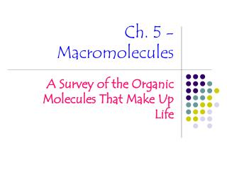Ch. 5 - Macromolecules
