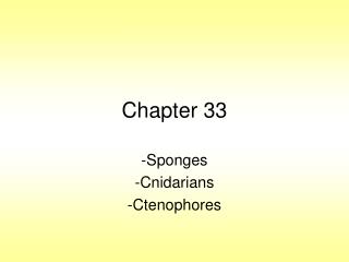 Chapter 33