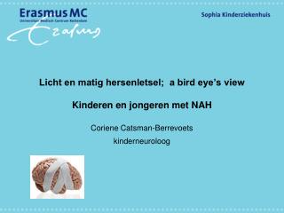 Licht en matig hersenletsel; a bird eye’s view Kinderen en jongeren met NAH