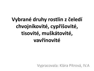 Vybrané druhy rostlin z čeledí chvojníkovité, cypřišovité, tisovité, muškátovité, vavřínovité