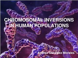 CHROMOSOMAL INVERSIONS IN HUMAN POPULATIONS