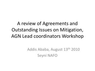 A review of Agreements and Outstanding Issues on Mitigation, AGN Lead coordinators Workshop