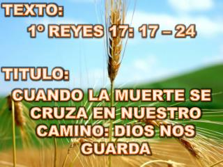 TEXTO: 1º REYES 17: 17 – 24 TITULO :