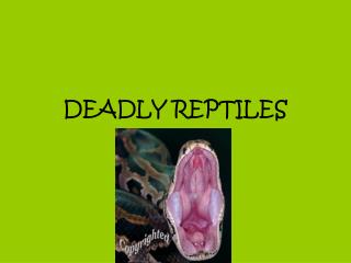 DEADLY REPTILES