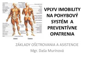 VPLYV IMOBILITY NA POHYBOVÝ SYSTÉM A PREVENTÍVNE OPATRENIA