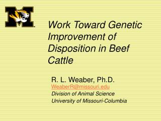 Work Toward Genetic Improvement of Disposition in Beef Cattle