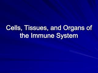 Cells, Tissues, and Organs of the Immune System