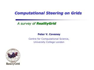 Computational Steering on Grids