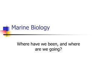 Marine Biology