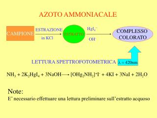 AZOTO AMMONIACALE