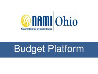 Budget Platform