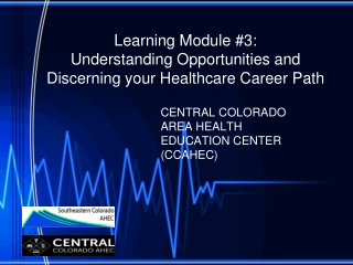 Learning Module #3: Understanding Opportunities and Discerning your Healthcare Career Path