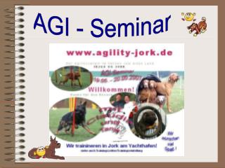 AGI - Seminar