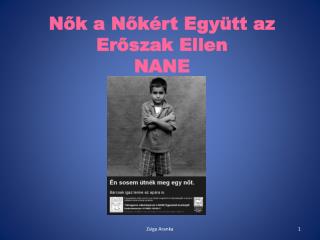 Nők a Nőkért Együtt az Erőszak Ellen NANE