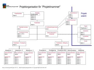 Projektorganisation för