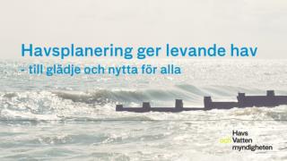 Havsplanering –