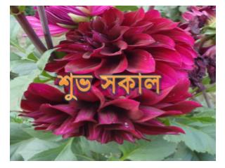 পরিচিতি