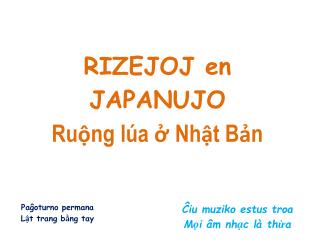 RIZEJOJ en JAPANUJO Ruộng lúa ở Nhật Bản