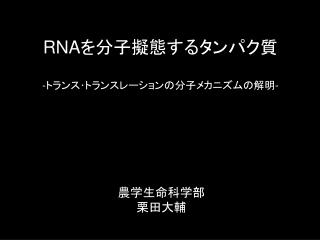 RNA を分子擬態するタンパク質 - トランス･トランスレーションの分子メカニズムの解明 -