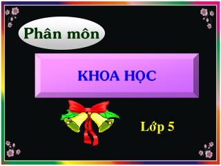 Phaân moân