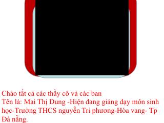 Chào tất cả các thầy cô và các ban