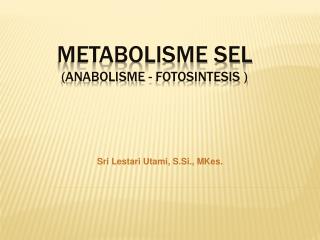 METABOLISME SEL (ANABOLISME - FOTOSINTESIS )