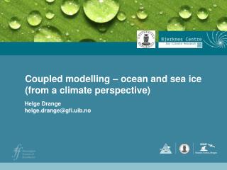 Coupled modelling – ocean and sea ice (from a climate perspective)