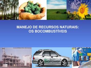 MANEJO DE RECURSOS NATURAIS: OS BOCOMBUSTÍVEIS