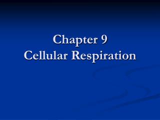 Chapter 9 Cellular Respiration