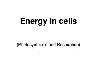 Energy in cells