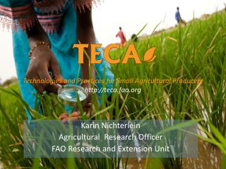 Karin Nichterlein Agricultural Research Officer FAO Research and Extension Unit