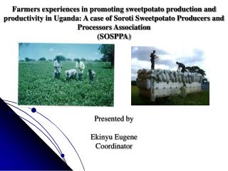 SOSPPA PROFILE