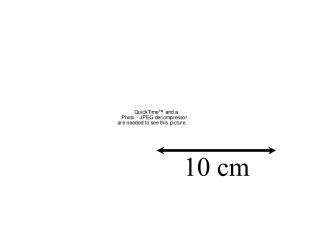10 cm