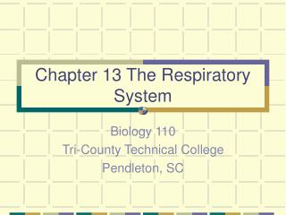 Chapter 13 The Respiratory System