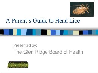 A Parent’s Guide to Head Lice