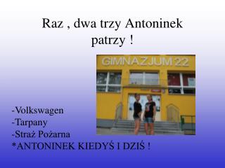 Raz , dwa trzy Antoninek patrzy !