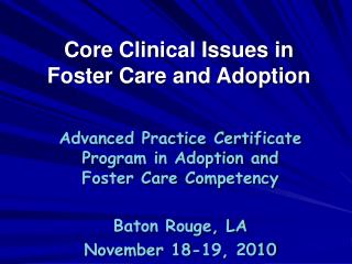 Core Clinical Issues in Foster Care and Adoption