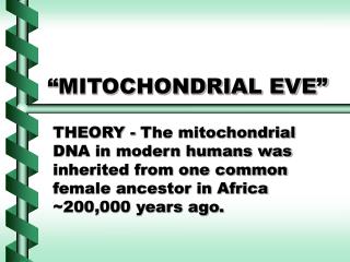 “MITOCHONDRIAL EVE”