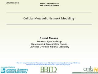 Cellular Metabolic Network Modeling