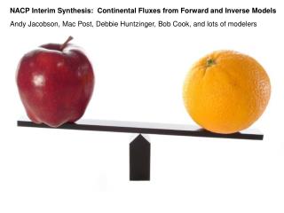 NACP Interim Synthesis: Continental Fluxes from Forward and Inverse Models