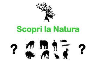 Scopri la Natura