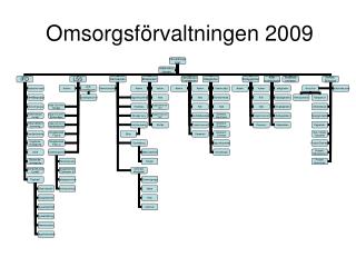 Omsorgsförvaltningen 2009