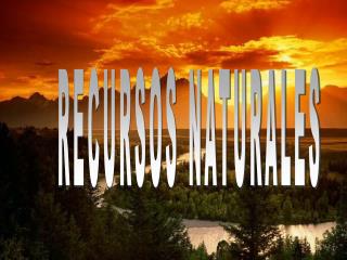 RECURSOS NATURALES
